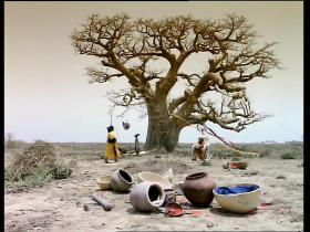 Peter Gabriel Shakin' The Tree (feat Youssou N'Dour)
